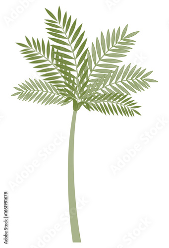Indian Tropical Tree and Leaf Vector Illustrations in Pichwai and Mughal Folk Art Style