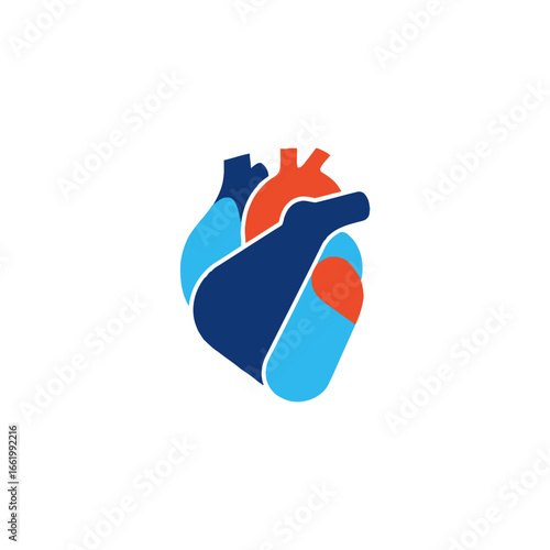 Stylized anatomical illustration of a human heart with blue and red color scheme.