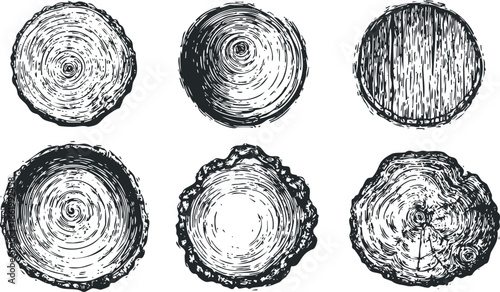 Six Hand Drawn Cross Sections of Tree Trunks With Visible Growth Rings
