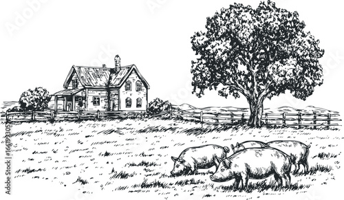 Sketch of a rustic farm with pigs grazing near a house and a large tree