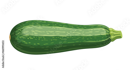 Illustration of a fresh green zucchini with intricate textures isolated against a white background, suitable for nutritional and culinary projects