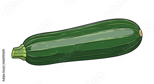 Whimsical Zucchini Vegetable Illustration, Fresh and Vibrant Colors of a Healthy Culinary Ingredient Depicting a Natural and Artistic Presentation