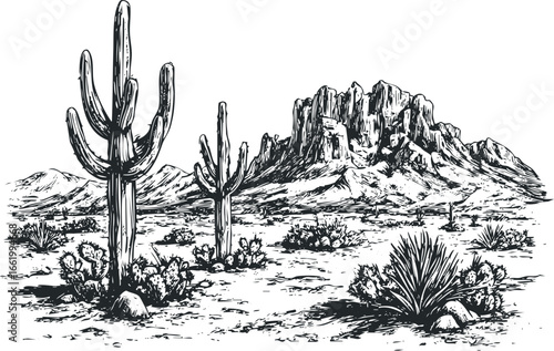 Detailed ink drawing of a desert landscape with saguaro cacti and mountainous terrain