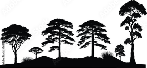 silhouette of pine tree forest . minimalist flat vector style isolated on white background with grass ground line and varied evergreen conifers. vector