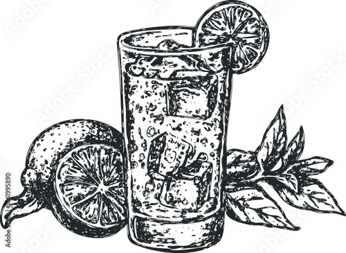Hand Drawn Sketch of a Refreshing Cold Drink with Citrus and Mint