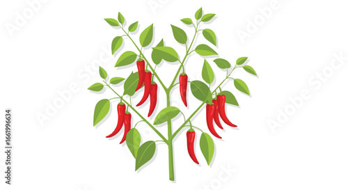 Vibrant Red Chili Peppers on a Bush, Graphic Illustration Showing Botanical Freshness, Natural Spice, Garden Harvest Isolated on White Background