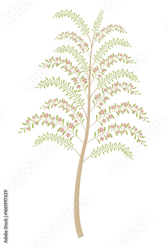 Indian Tropical Tree and Decorative Botanical Vector Illustration in Pichwai and Mughal Folk Art Style