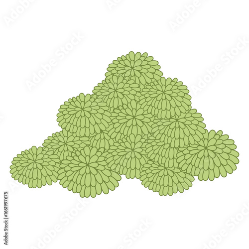 Indian Tropical Tree and Decorative Botanical Vector Illustration in Pichwai and Mughal Folk Art Style