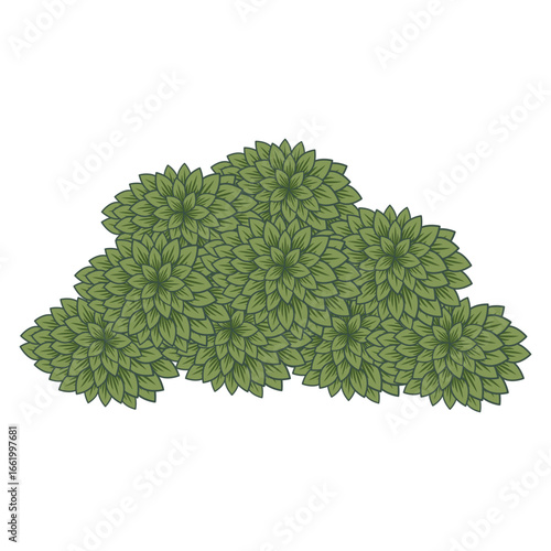 Indian Tropical Tree and Decorative Botanical Vector Illustration in Pichwai and Mughal Folk Art Style