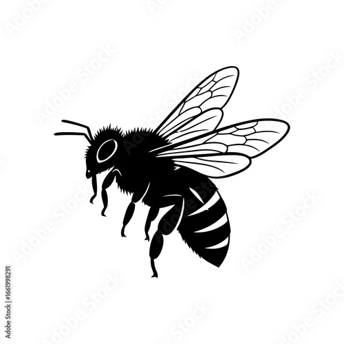 Detailed black and white illustration of a flying honey bee