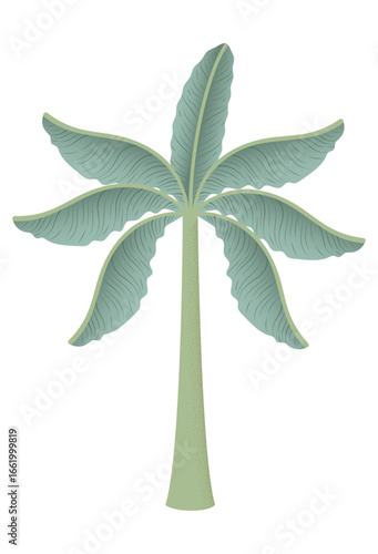 Banana Tree Vector Illustration in Indian Pichwai Mughal Art Style