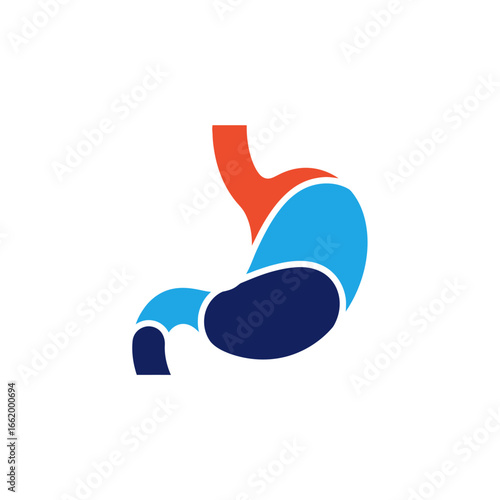 Illustration of human stomach anatomy with esophagus and duodenum in bright colors.