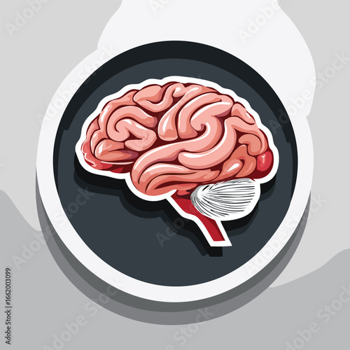 Anatomy illustration of a human brain, showcasing its intricate structure and details within a circular design.
