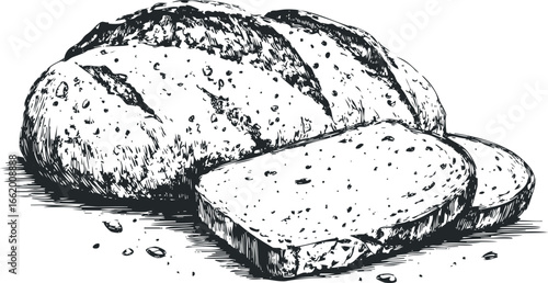 Hand Drawn Sketch of a Whole Loaf of Bread with Sliced Pieces