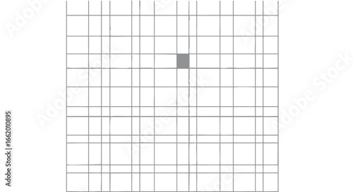 Geometric grid pattern with a highlighted square, creating a focal point for design or data representation demonstrating organized structure