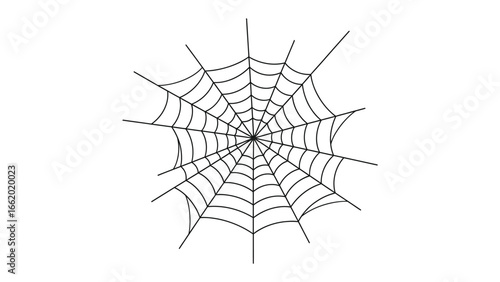 Spiderweb: A captivating view of an intricate spider web suspended in the air, showcasing delicate design and precise craftsmanship. This monochrome image evokes a sense of mystery, craftsmanship.