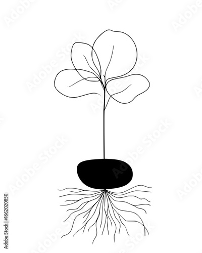 Root chakra symbolism grounding, growth, spirituality the muladhara chakra and its association with earth energy and stability