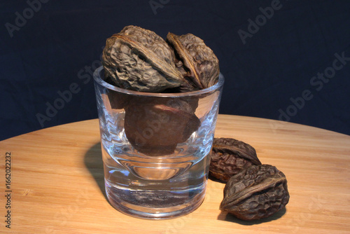 Black Walnut in Glass 08