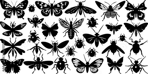 Black Silhouette Insect and Butterfly Art Collection