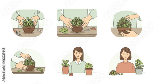 Illustrations depicting the creation and care of houseplant arrangements