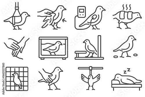 Wildlife Therapy Icons. Line style icons of physical therapy for wildlife: walking sling, range of motion test, muscle stimulator