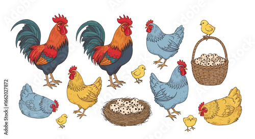 Charming hand-drawn illustration with chickens, chicks and eggs elements