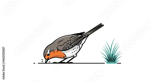 Illustration showcasing a robin foraging in the grass in a simplified style