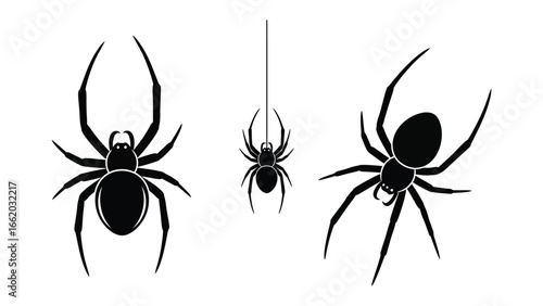 Spider Silhouettes: Striking black spider silhouettes, a visual narrative of the spider in its natural habitat. Each spider in a different dynamic pose, spider in the web of anticipation.