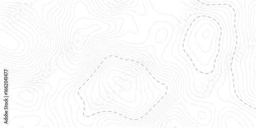 Image grid geographic relief topographic contour line maps cartography texture. Topographic map lines, contour background. Background of the topographic map