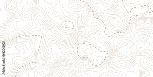 Image grid geographic relief topographic contour line maps cartography texture. Topographic map lines, contour background. Background of the topographic map