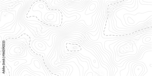Image grid geographic relief topographic contour line maps cartography texture. Topographic map lines, contour background. Background of the topographic map