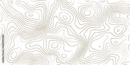 Topographic map lines, contour background. Background of the topographic map. Image grid geographic relief topographic contour line maps cartography texture
