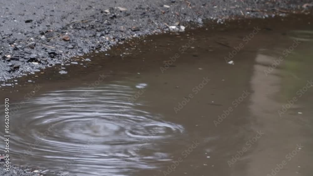 Raindrops creating ripples in puddle Raindrops creating ripples in puddle