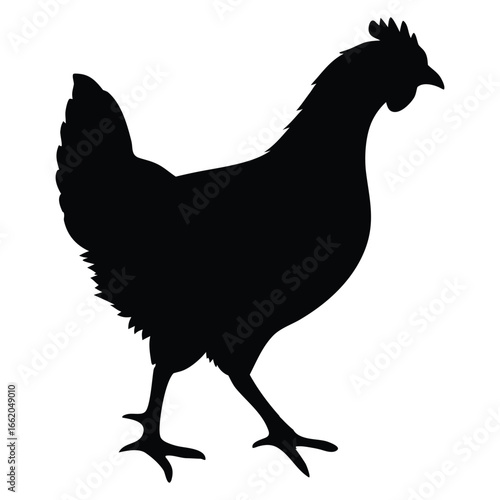 silhouette of rhode island red hen on white background