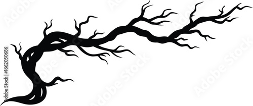 dry twisted wild vine silhouette vector illustration
