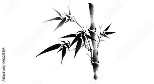 Black and white drawing of bamboo stalk with leaves, created in a minimal, brushstroke style on a white background