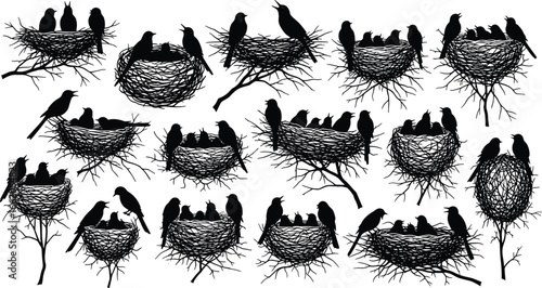 Bird and nest silhouettes, perched birds, nesting behavior, avian species, nature art, vector illustration, wildlife icon, animal design, breeding season, feather detail