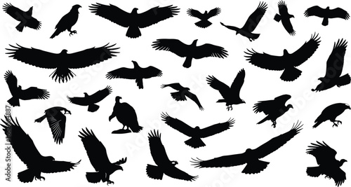 Bird silhouettes collection, flying and perched, avian species, wing spread, nature art, vector illustration, wildlife icon, animal design, flight pattern, feather detail