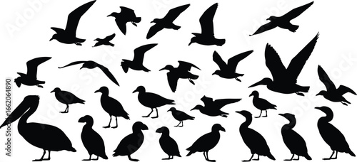 Bird silhouettes collection, flying and standing, avian species, wing spread, nature art, vector illustration, wildlife icon, animal design, flight pattern, feather detail
