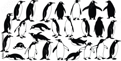 NPenguin silhouettes collection, standing walking swimming, Antarctic wildlife, seabird species, nature art, vector illustration, animal icon, cold habitat, wildlife design, polar bird