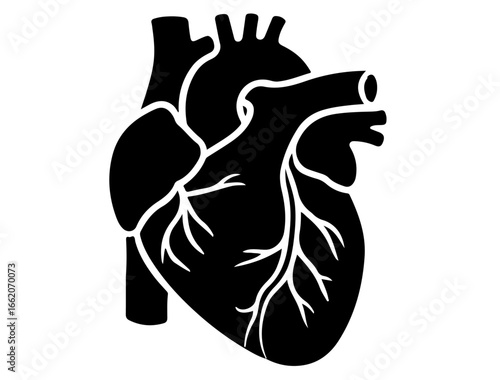 Silhouette icon of the thyroid gland in butterfly shape, black on white background