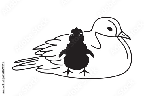 Black duckling hiding behind a white duck