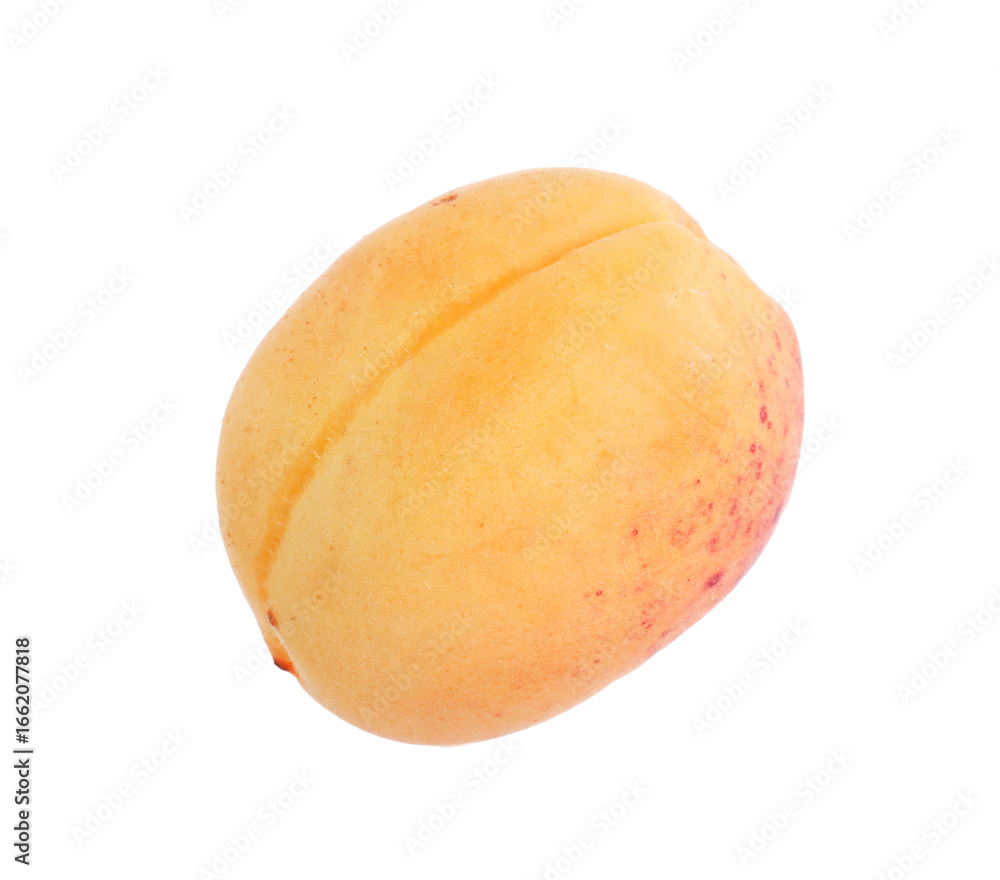 Fototapeta premium One fresh ripe apricot isolated on white