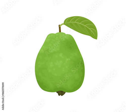 Fresh guava with leaf isolated on white background. Whole fruit. Vector cartoon flat illustration.