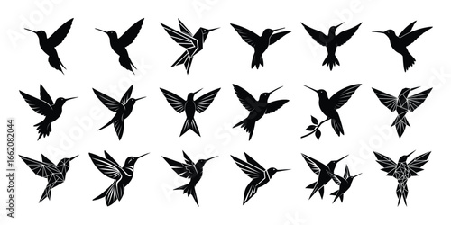 Collection of geometric hummingbird silhouettes in flight, showcasing grace and harmony