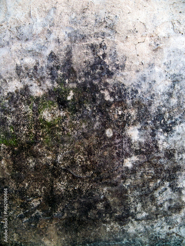 Damp Wall Texture – Grunge Stained Surface for Backgrounds and Design