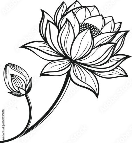 Lotus black line art vector illustration perfect for tattoo and branding use, Minimalist lotus line art vector, Sacred lotus flower tattoo vector, Elegant lotus flower illustration