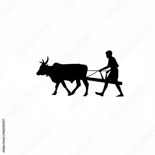 Farmer pushing plow with oxen in motion silhouette on white background