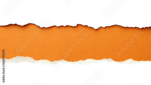 Torn orange paper strip revealing white layer beneath – Reveal concept, abstract texture, minimalist design cue, torn paper, reveal, texture, abstract, minimalist, contrast, Transparent Image