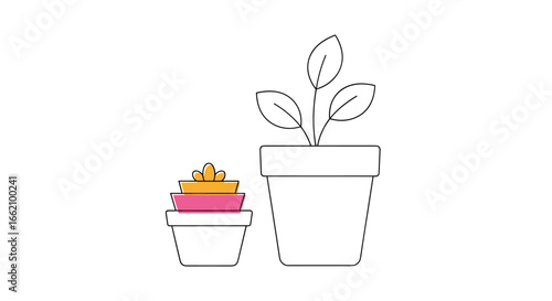 Growing plants indoors a guide to cultivating green spaces at home